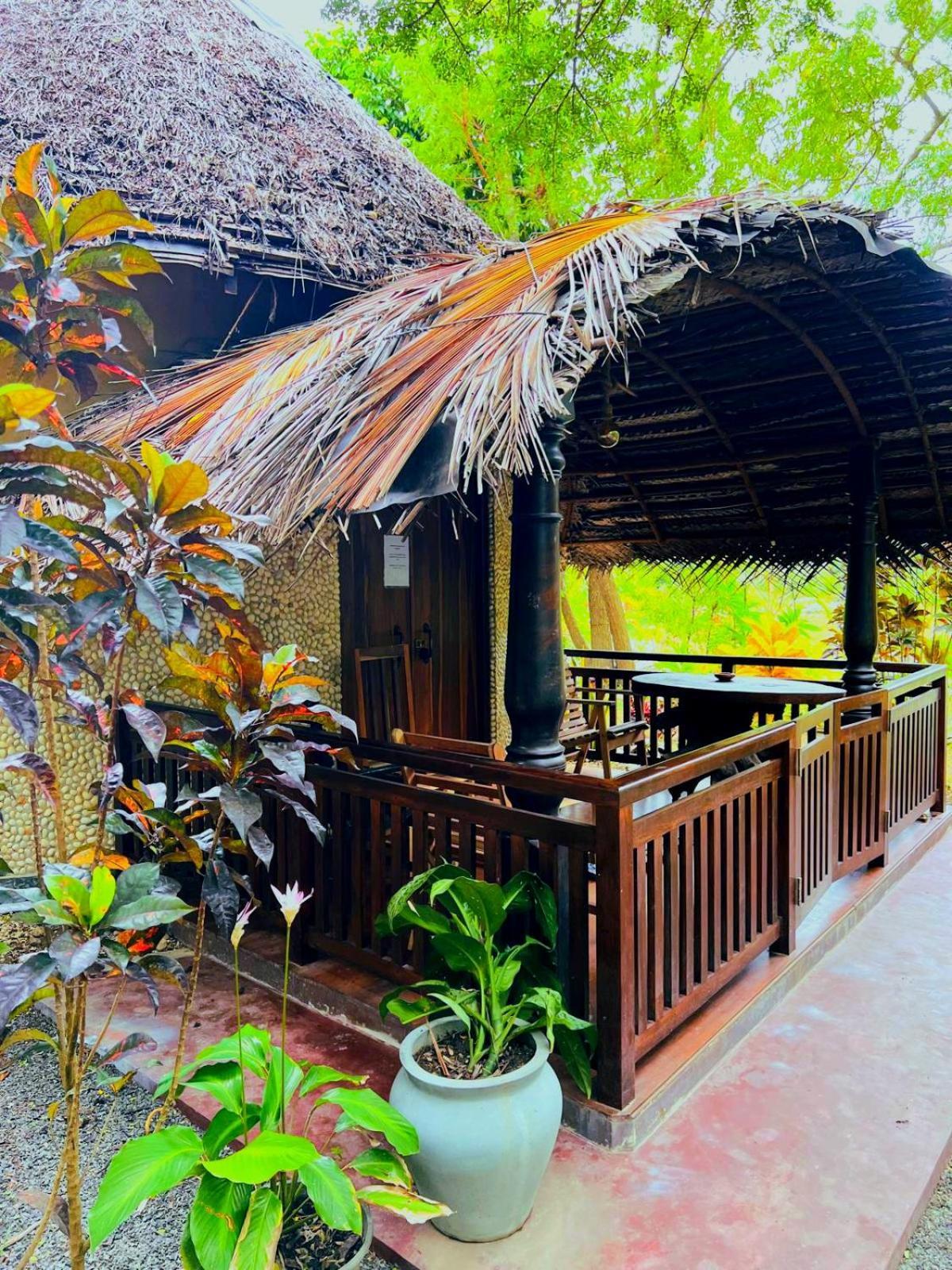 Turtle Watch Cabana แทนกาลเล ภายนอก รูปภาพ