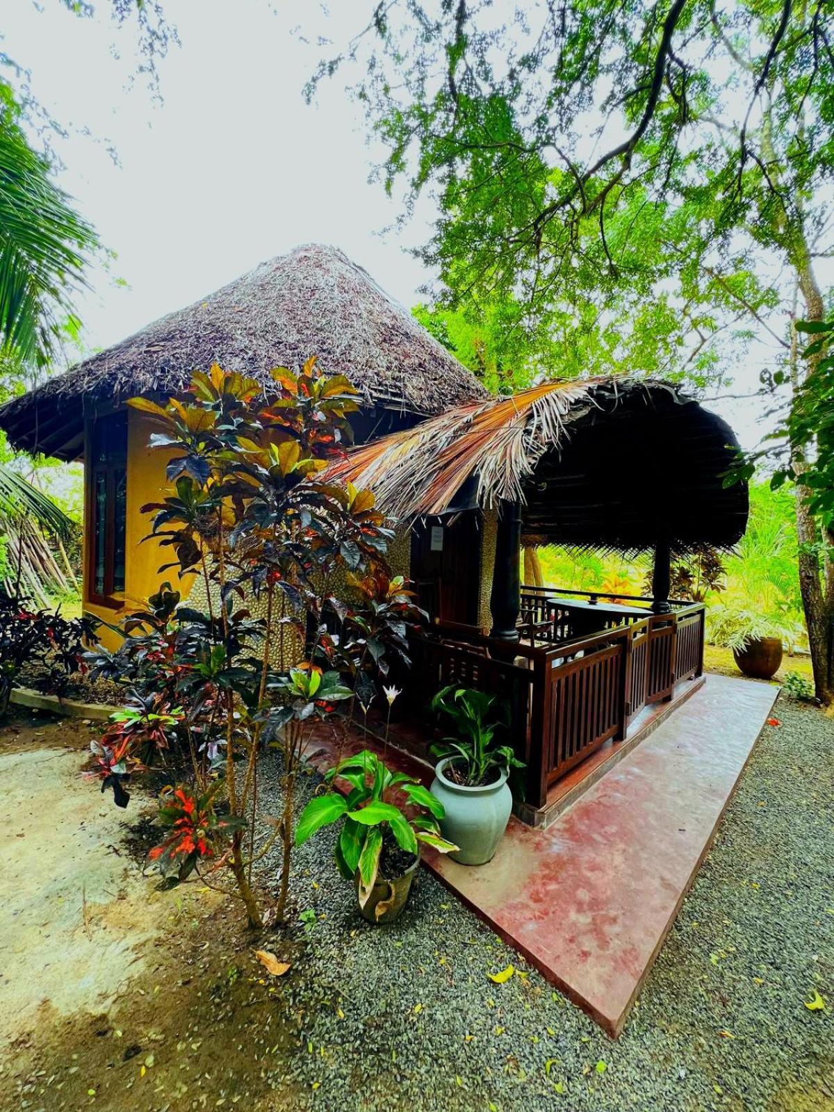 Turtle Watch Cabana แทนกาลเล ภายนอก รูปภาพ
